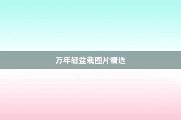 万年轻盆栽图片精选