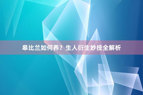 皋比兰如何养？生人衍生妙技全解析