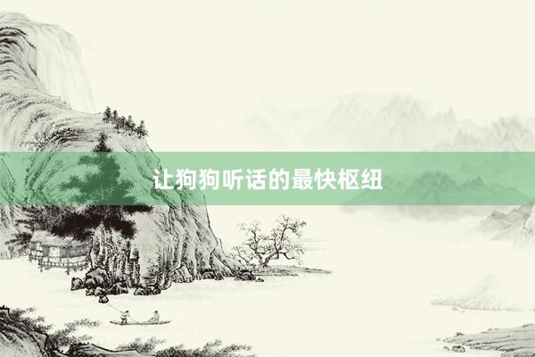 让狗狗听话的最快枢纽